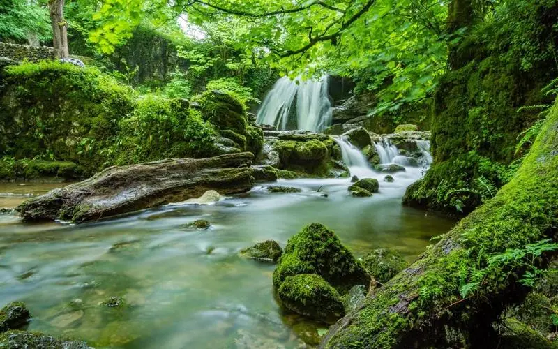 信息化绿色高端